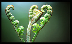 Growth through CRM software